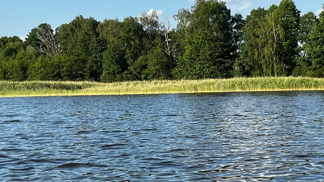 Spokojne jezioro wieleńskie z zielonym lasem w tle i błękitnym niebem z chmurami.