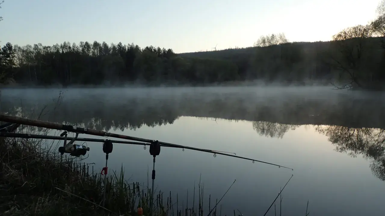 Mglisty poranek nad jeziorem, wędki feeder gotowe do akcji.