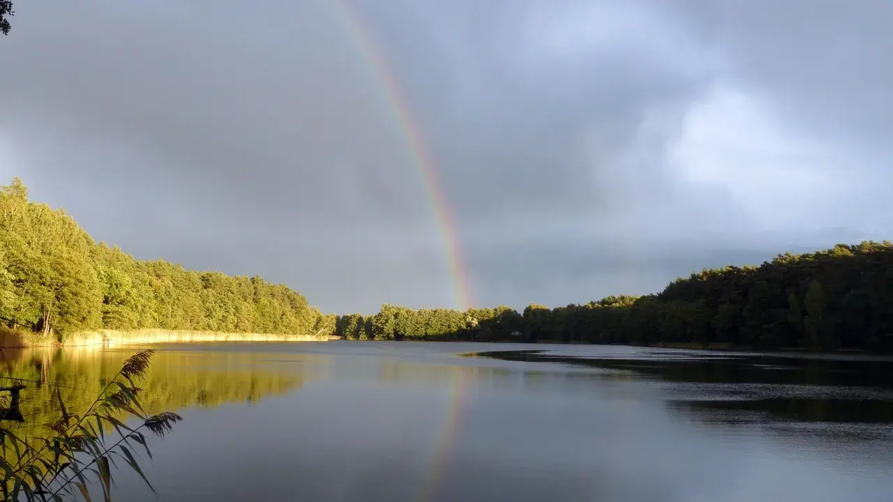 Tęcza nad jeziorem Tuczno po deszczu, z lasem w tle i ptakiem na niebie.
