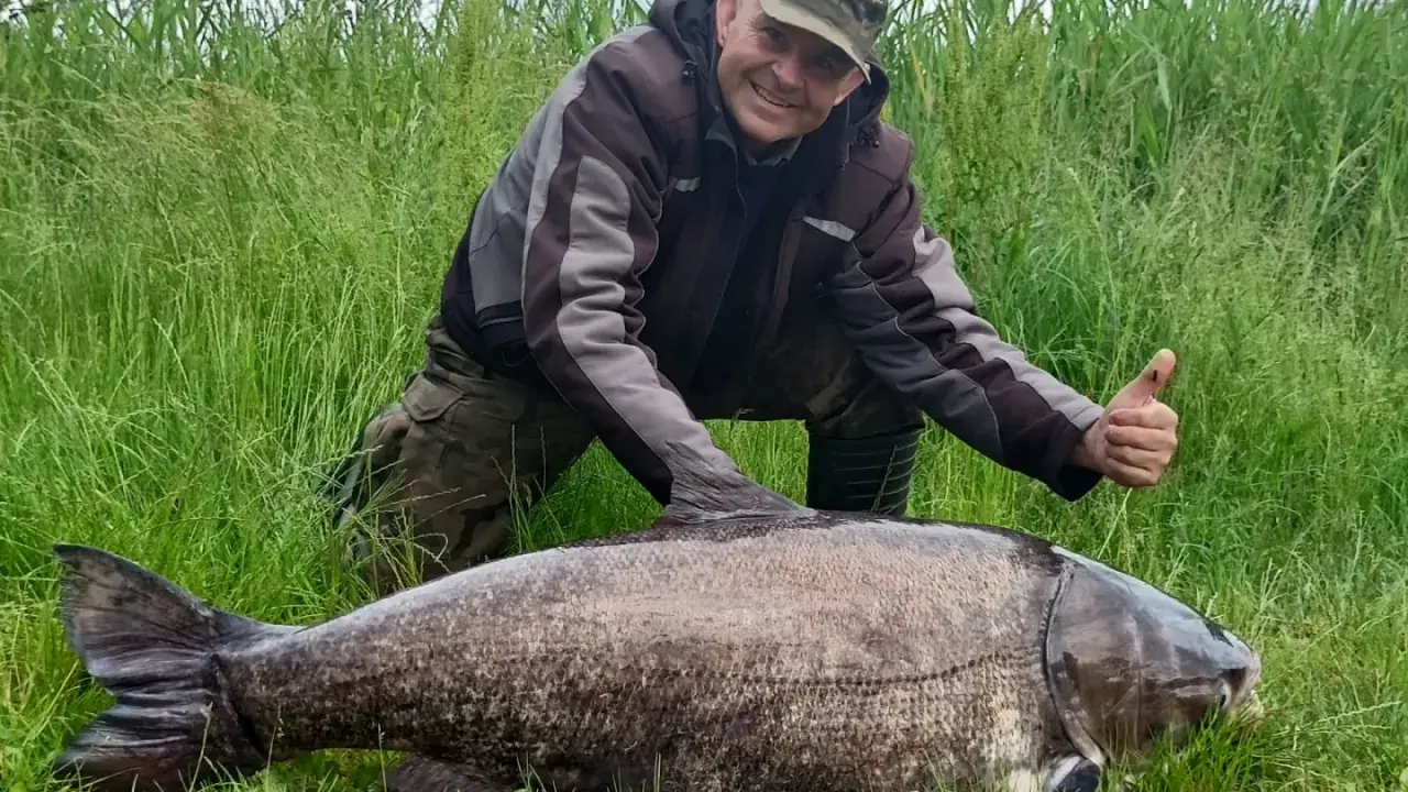 Szczęśliwy wędkarz z tołpygą rekord. Ogromna ryba leży na trawie, a mężczyzna pokazuje kciuk w górę.