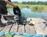 Udany połów na łowisku Chojnca. W siatce kilka ryb, obok wędki i krzesła.