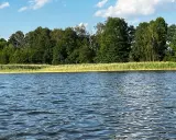 Spokojne jezioro wieleńskie z zielonym lasem w tle i błękitnym niebem z chmurami.