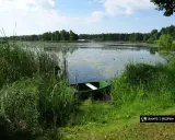Zielona łódka przy brzegu zarasta trzciną nad spokojnym zalewem Zielona Kaleta.