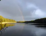 Tęcza nad jeziorem Tuczno po deszczu, z lasem w tle i ptakiem na niebie.