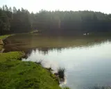 Spokojne jezioro zawiad, otoczone lasem. W wodzie stoi samotna postać, ciesząc się ciszą.