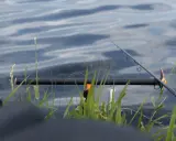 Wędka feederowa oparta o podbierak, czeka na branie. W tle spokojna woda.