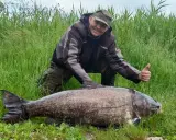 Szczęśliwy wędkarz z tołpygą rekord. Ogromna ryba leży na trawie, a mężczyzna pokazuje kciuk w górę.