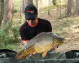 Wędkarz w czapce z daszkiem prezentuje okazałego karpia, złowionego na przynętę typu dumbells wafters.