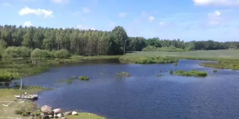 Spokojne łowisko Stojkowo otoczone lasem, z łódką przy brzegu i kamieniami.