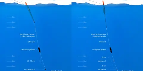 Schemat pokazuje, jak zakładać ciasto na haczyk. Zestaw z żyłką, obciążeniem i haczykiem z przynętą (chlebem) zanurzony w wodzie.