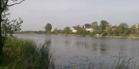 Spokojne jezioro wilanowskie z domami na brzegu i trzcinami na pierwszym planie.