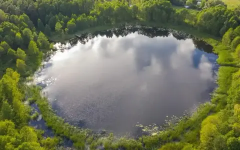 Malownicze jezioro Wójtowskie otoczone bujną zielenią lasów i trzcin.
