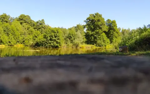 Spokojne jezioro Mąkolno otoczone bujną zielenią drzew. Woda odbija promienie słońca, tworząc złocisty blask.