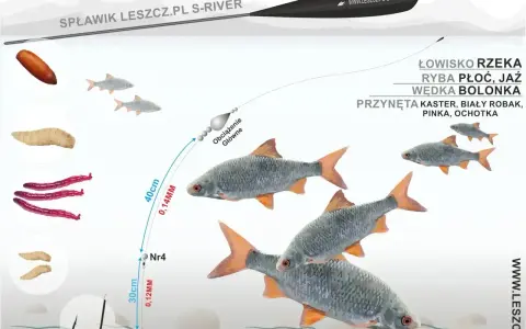 Ilustracja pokazuje zestaw wędkarski z przynętami i rybami. Widać spławik, żyłkę, obciążenie, haczyk z przynętą oraz płocie. Gumki do spławików są kluczowe dla stabilności zestawu.