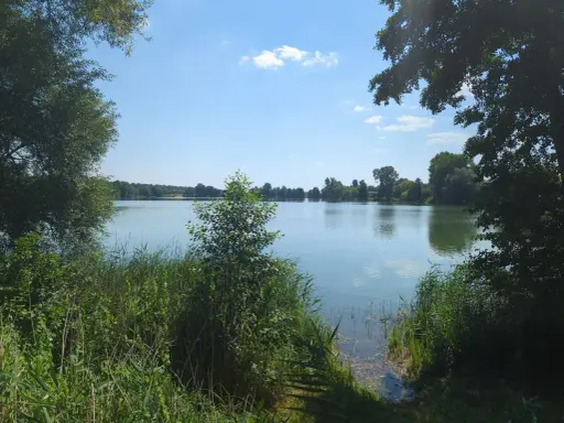 Spokojne jezioro Małe Żnińskie otoczone zielenią, z błękitnym niebem i białymi chmurami odbijającymi się w wodzie.