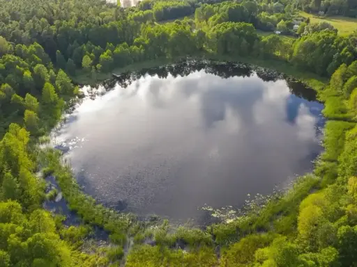 Malownicze jezioro Wójtowskie otoczone bujną zielenią lasów i trzcin.