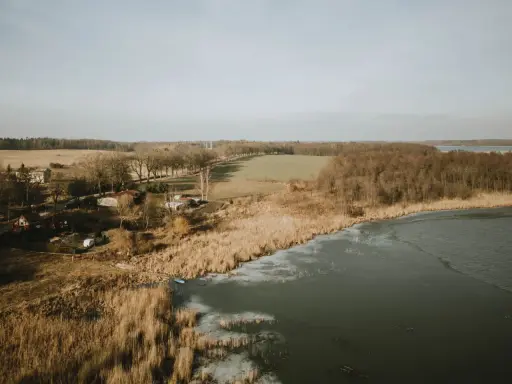 Zimowy krajobraz nad pniewy jezioro. Widać zamarznięte brzegi, trzciny, las i zabudowania.