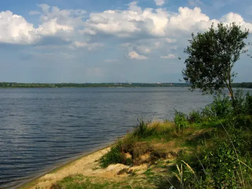 Szerokie jezioro z piaszczystym brzegiem i drzewem w oddali, pod zachmurzonym niebem.