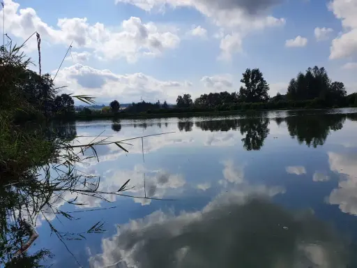 Spokojne jezioro w Czechowicach-Dziedzicach odbija błękitne niebo z chmurami.