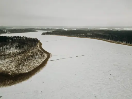 Zimowy krajobraz jeziora Tyrkło. Lód pokrywa taflę, a brzeg otacza las.