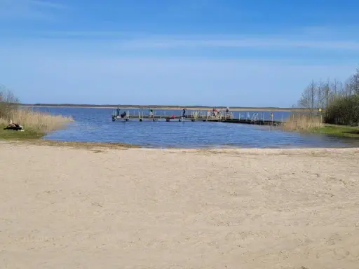 Plaża nad jeziorem Wicko, z pomostem, na którym stoją ludzie. W oddali widać trzciny i drzewa.