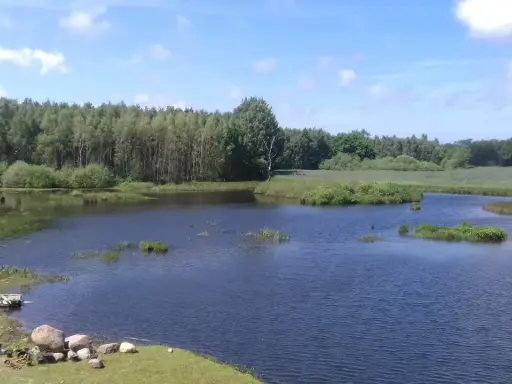Spokojne łowisko Stojkowo otoczone lasem, z łódką przy brzegu i kamieniami.
