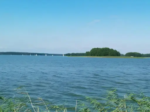 Spokojne jezioro Jagodne, gdzie żaglówki suną po wodzie, a w głębinach czają się ryby.