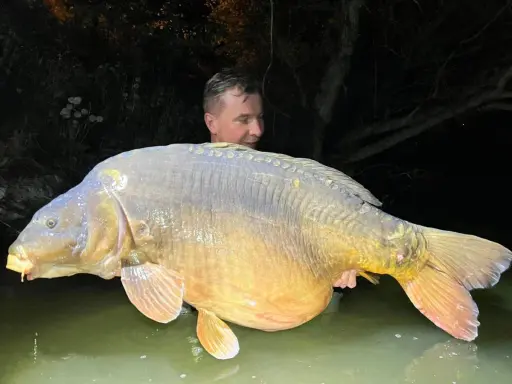 Ogromny karp, prawdopodobnie rekord Polski, w rękach wędkarza w wodzie.