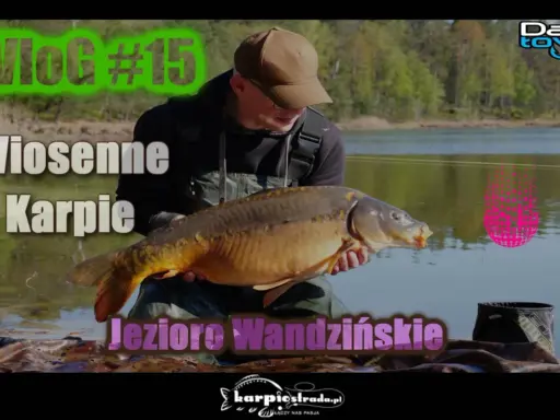 Wiosenne karpie złowione nad jeziorem Wandzińskim. Wędkarz prezentuje okazałego karpia.