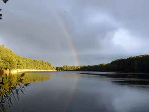 Tęcza nad jeziorem Tuczno po deszczu, z lasem w tle i ptakiem na niebie.