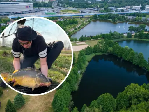 Wrocławskie łowisko z okazałym karpiem w rękach wędkarza. W tle stadion i jeziora.