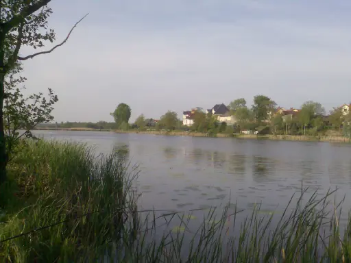 Spokojne jezioro wilanowskie z domami na brzegu i trzcinami na pierwszym planie.