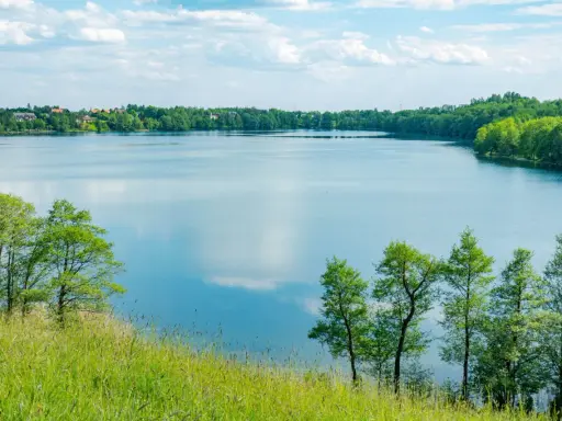 Malownicze żnin jezioro otoczone zielenią, z widocznymi domami na horyzoncie i błękitnym niebem z chmurami.