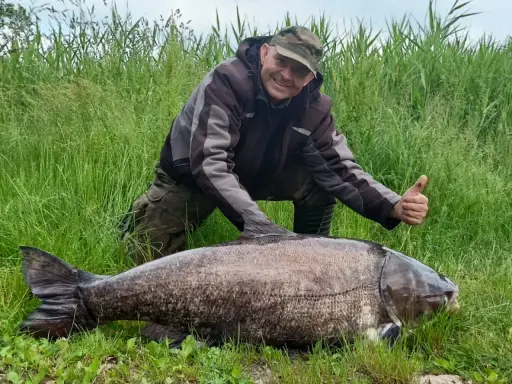 Szczęśliwy wędkarz z tołpygą rekord. Ogromna ryba leży na trawie, a mężczyzna pokazuje kciuk w górę.