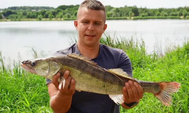 Szczęśliwy wędkarz prezentuje dorodnego sandacza złowionego nad zalewem Brody.