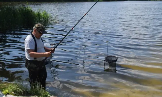 Wędkarz łowi ryby na jeziorze wierzbiczańskim. W wodzie stoi podbierak, a w tle widać zarośla i las.