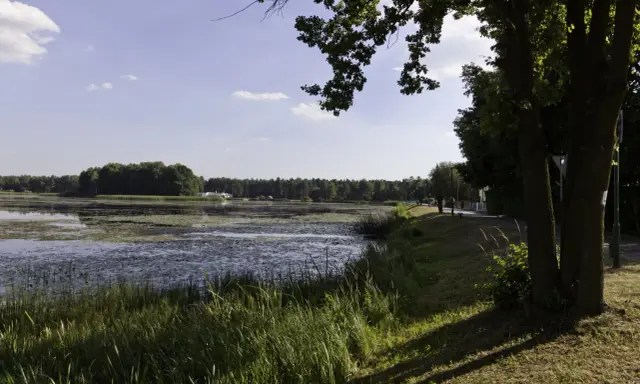 Spokojny zalew zielona otoczony lasem, z ścieżką spacerową i drzewami wzdłuż brzegu.