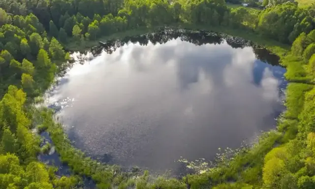 Malownicze jezioro Wójtowskie otoczone bujną zielenią lasów i trzcin.