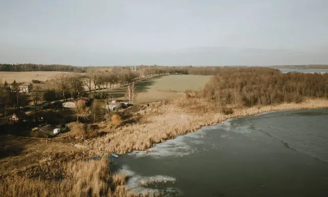 Zimowy krajobraz nad pniewy jezioro. Widać zamarznięte brzegi, trzciny, las i zabudowania.