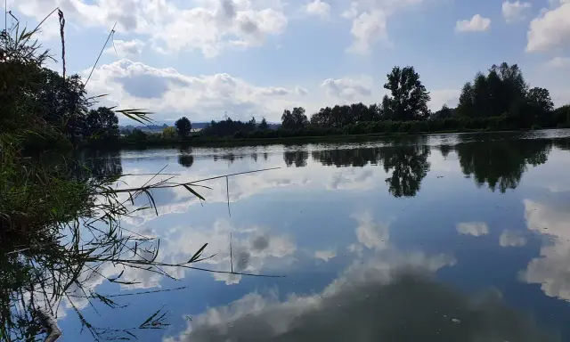 Spokojne jezioro w Czechowicach-Dziedzicach odbija błękitne niebo z chmurami.