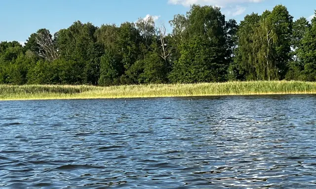Spokojne jezioro wieleńskie z zielonym lasem w tle i błękitnym niebem z chmurami.