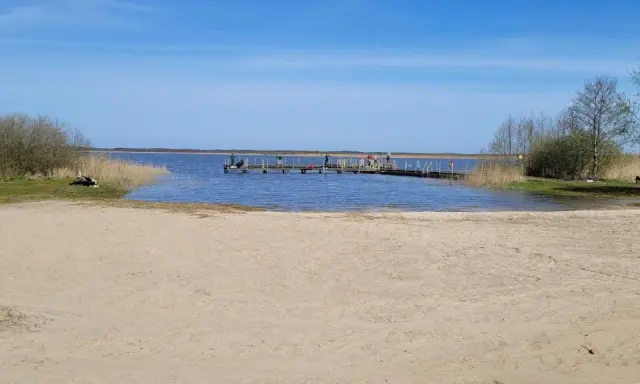 Plaża nad jeziorem Wicko, z pomostem, na którym stoją ludzie. W oddali widać trzciny i drzewa.