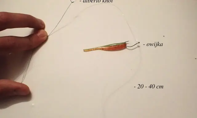 Jak zrobić zestaw drop shot: pokazano wędkę z przynętą, haczyk z owijką i ciężarek.