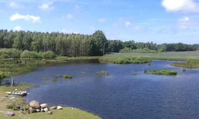 Spokojne łowisko Stojkowo otoczone lasem, z łódką przy brzegu i kamieniami.
