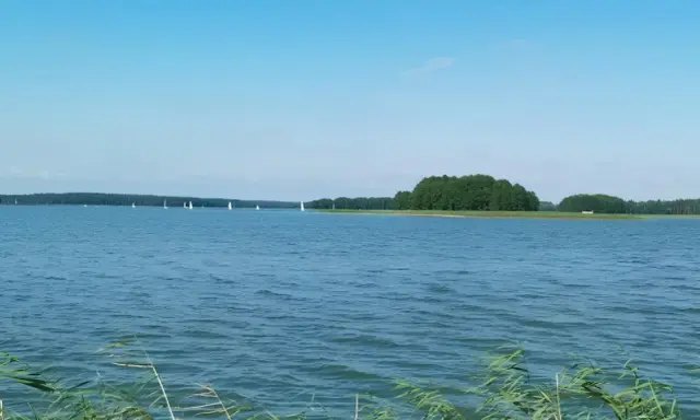 Spokojne jezioro Jagodne, gdzie żaglówki suną po wodzie, a w głębinach czają się ryby.