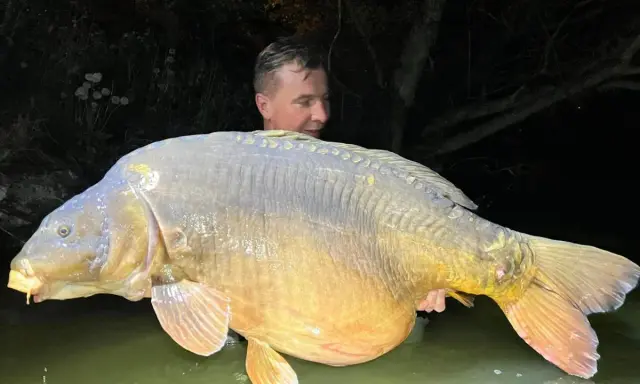 Ogromny karp, prawdopodobnie rekord Polski, w rękach wędkarza w wodzie.