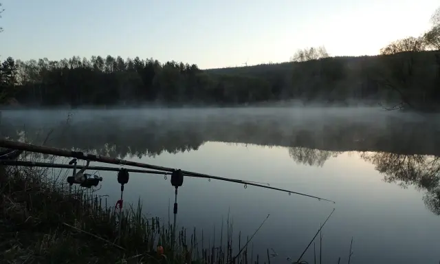 Mglisty poranek nad jeziorem, wędki feeder gotowe do akcji.