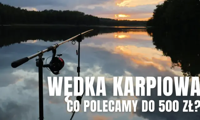 Wędka karpiowa na stojaku nad jeziorem o zachodzie słońca. Czy to najdroższa wędka do 500 zł?