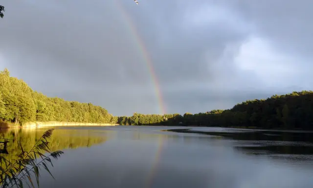 Tęcza nad jeziorem Tuczno po deszczu, z lasem w tle i ptakiem na niebie.