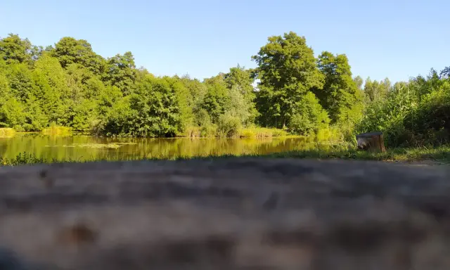 Spokojne jezioro Mąkolno otoczone bujną zielenią drzew. Woda odbija promienie słońca, tworząc złocisty blask.